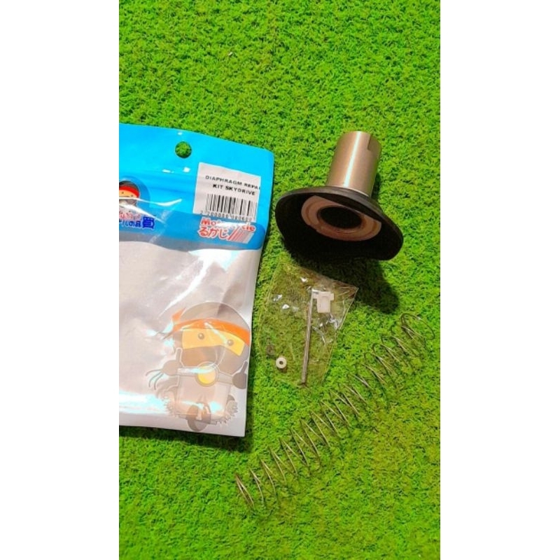 Diaphragm Repair Kit